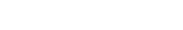 SAVEN · Software Development & Digital Solutions Agency